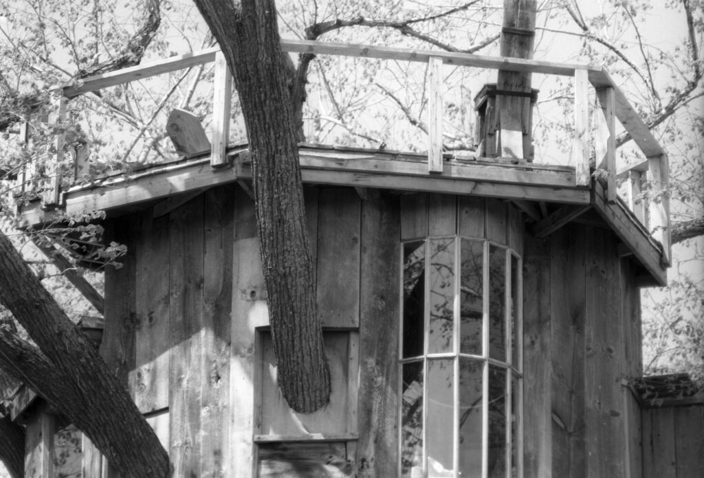 The treehouse and rooftop deck