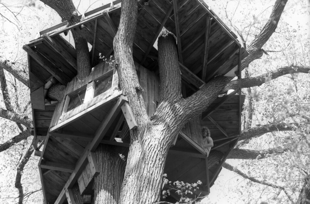 The treehouse from below