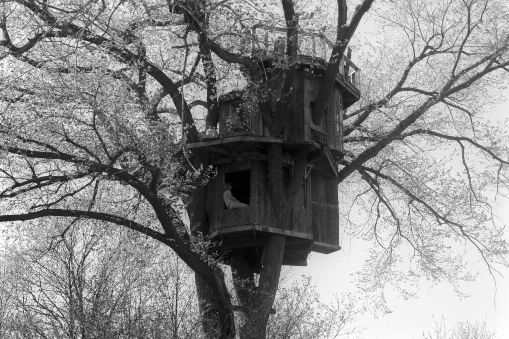 The treehouse in the sky